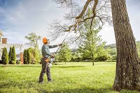 Seasonal Cleanup (Spring/Fall) in Woodacre, CA